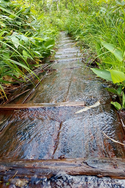 e0137200_21302694.jpg