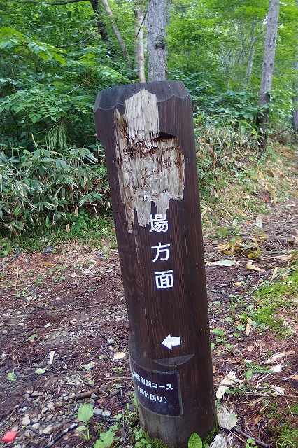 e0137200_21304726.jpg