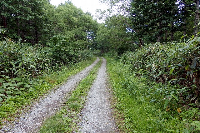 e0137200_2132516.jpg