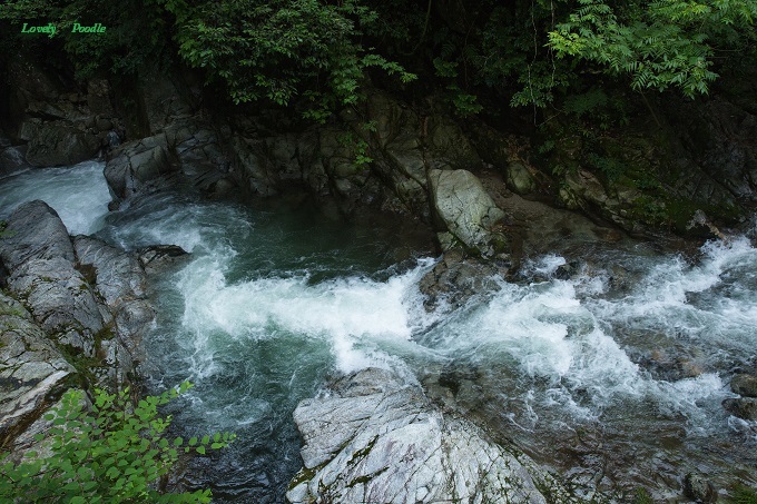 d0257606_11100785.jpg