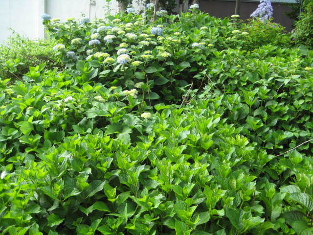f0316507_09192979.jpg