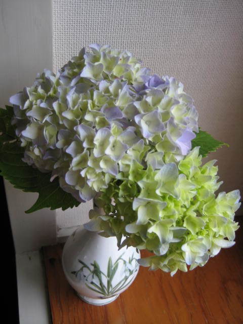 f0316507_10062045.jpg
