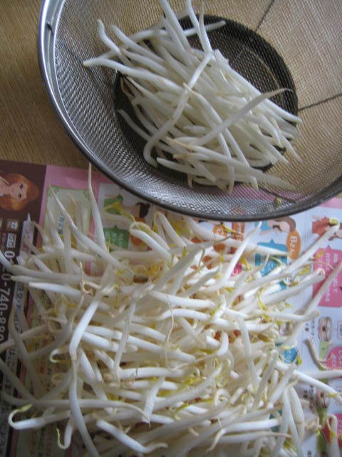 f0316507_10064721.jpg
