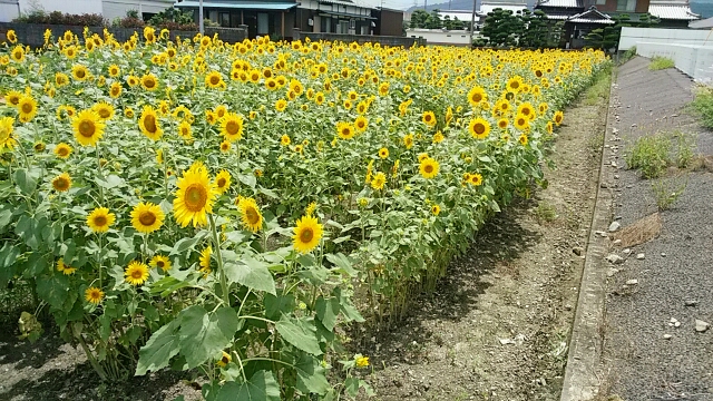 f0231709_18553052.jpg