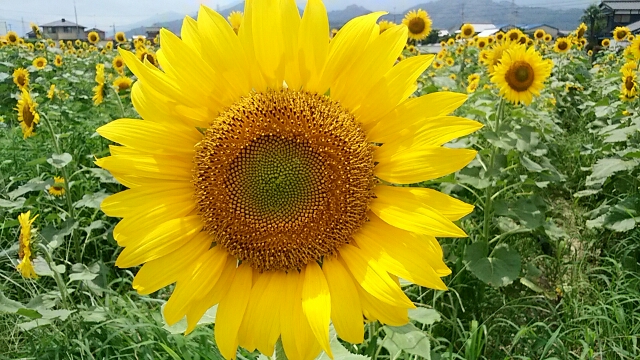 f0231709_18561237.jpg