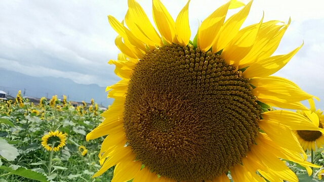 f0231709_18563321.jpg