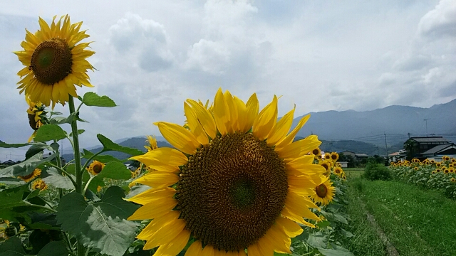 f0231709_18565855.jpg