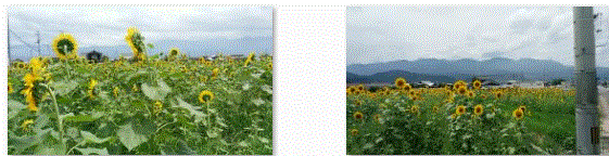 f0231709_18585333.gif