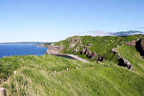 a0139912_16131345.jpg