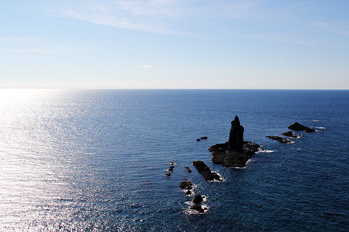 a0139912_16131966.jpg
