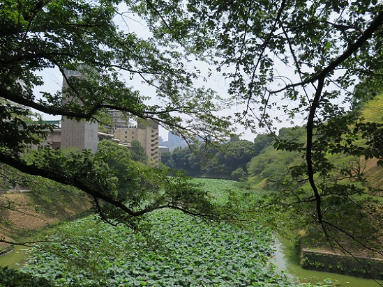 c0192215_11183328.jpg