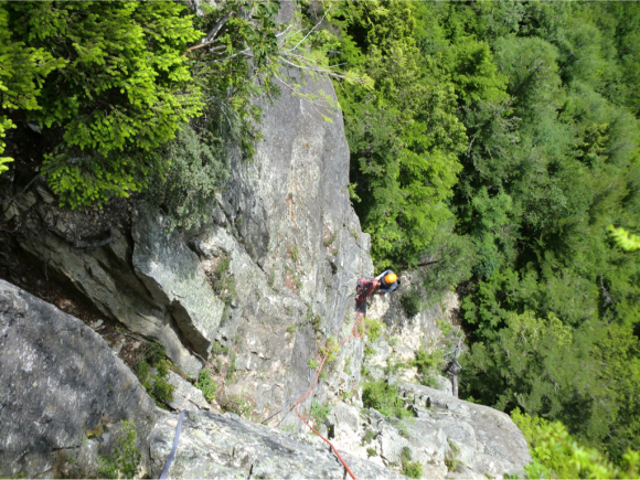 c0210618_12461234.jpg