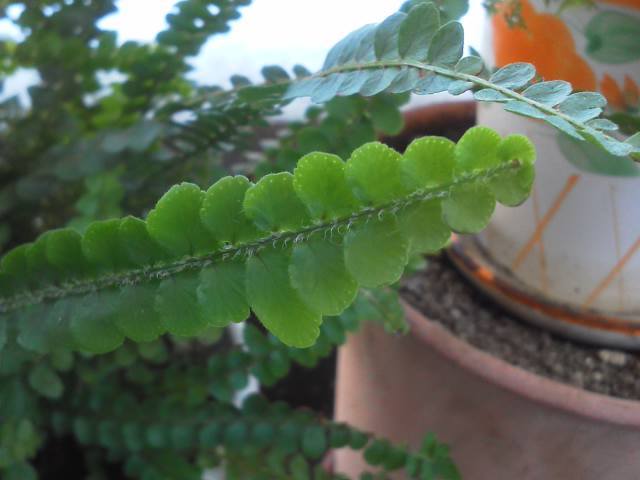 a0268821_23214388.jpg