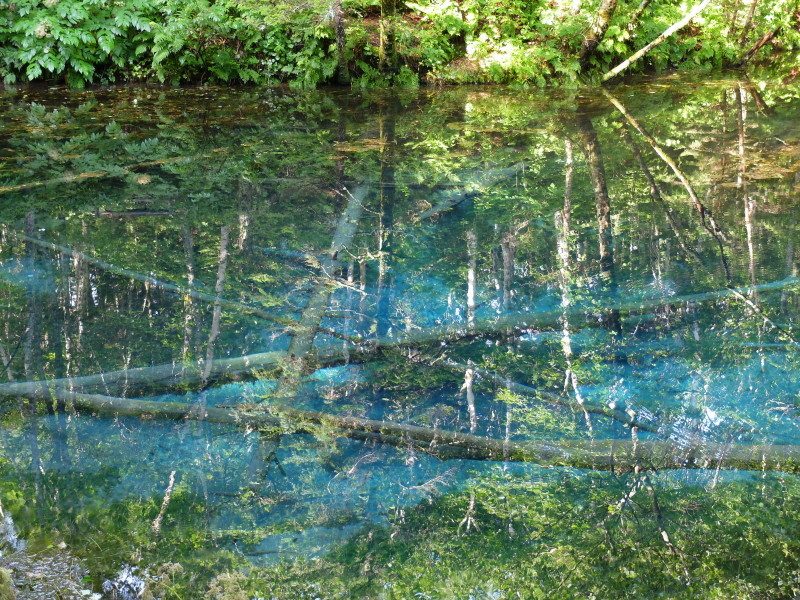 f0362524_17355361.jpg