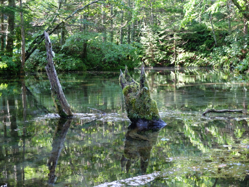 f0362524_17395900.jpg