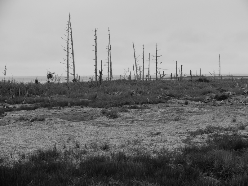 f0362524_19021321.jpg