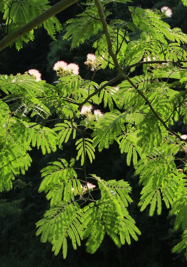 c0104227_23213468.jpg