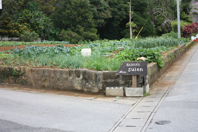 b0241033_23552063.jpg