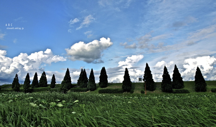f0315034_11260108.jpg