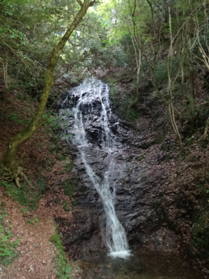 f0141840_23220077.jpg