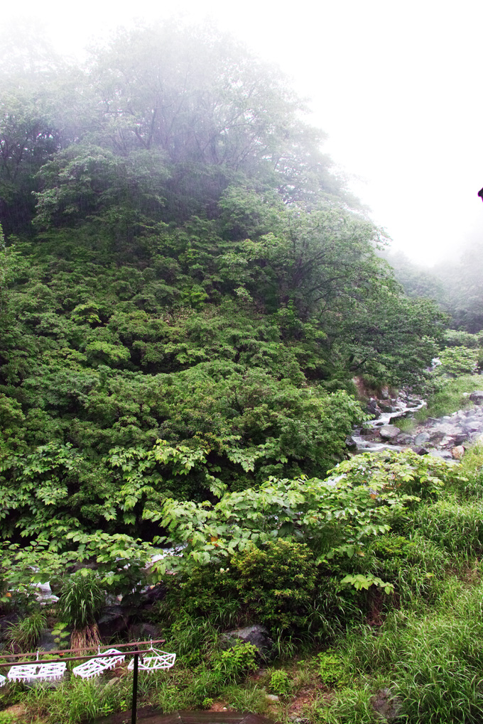 b0049152_20322837.jpg