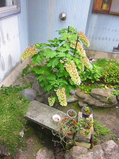 c0327752_11114199.jpg