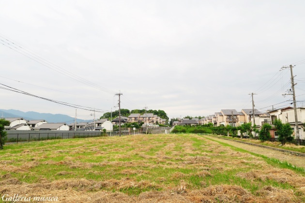 f0351853_23320198.jpg