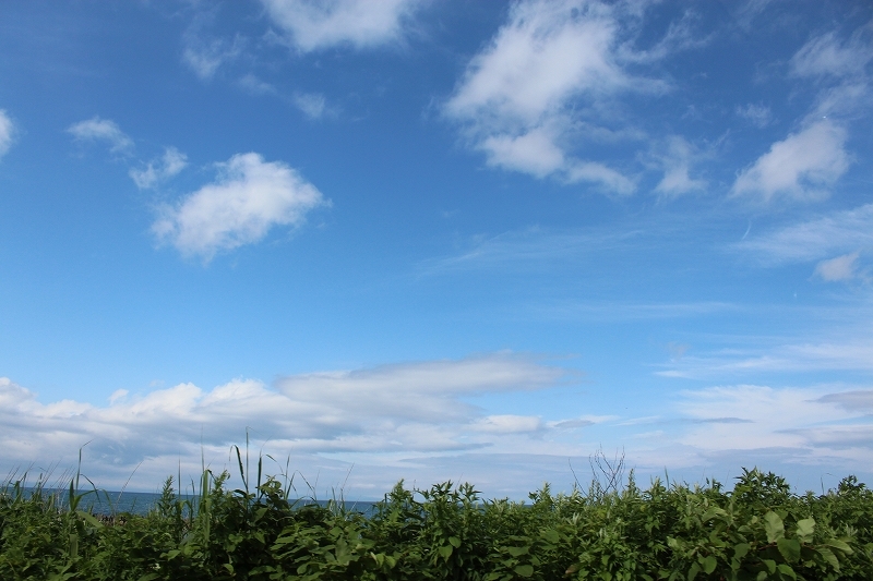 b0250154_06452862.jpg