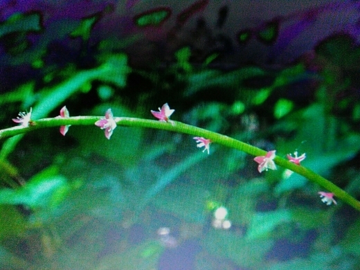 a0018655_10463476.jpg