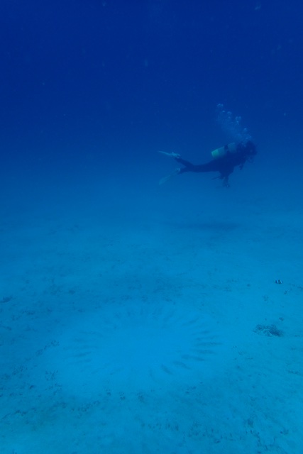 b0062363_16434724.jpg