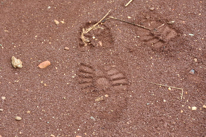 a0106965_2024405.jpg