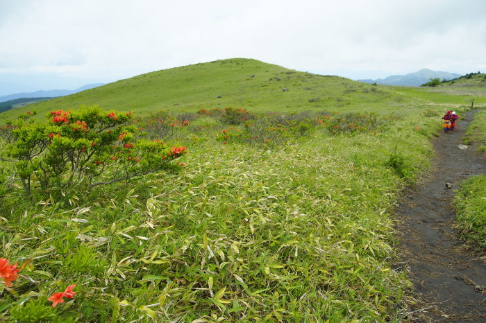 e0307372_10090870.jpg