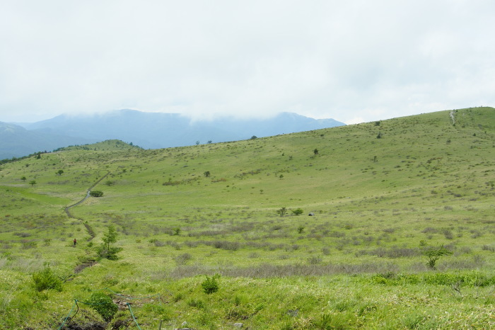e0307372_10102175.jpg