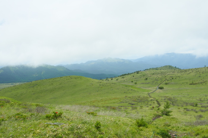 e0307372_10244853.jpg