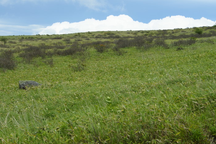 e0307372_10313108.jpg