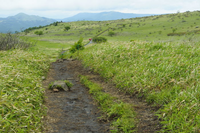 e0307372_10332558.jpg