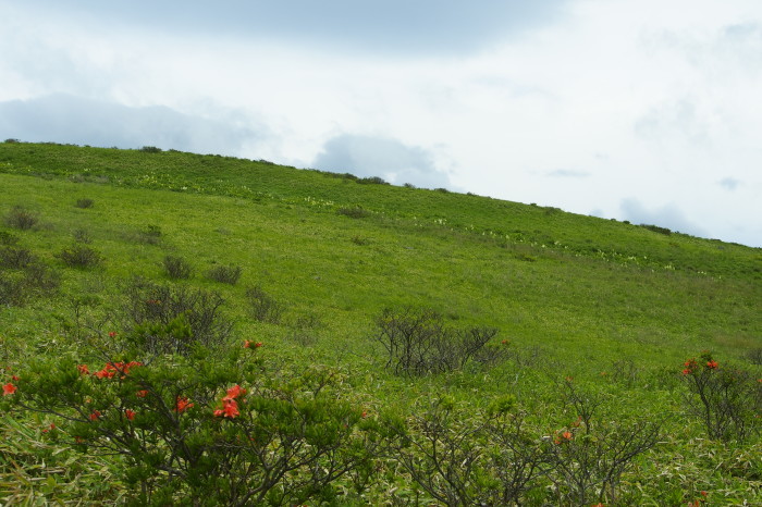 e0307372_11180179.jpg
