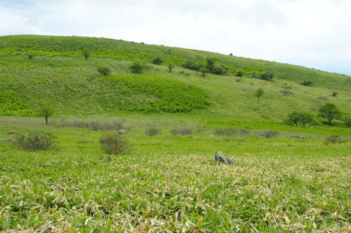e0307372_11420901.jpg