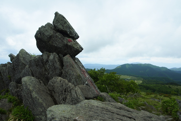 e0307372_11433934.jpg