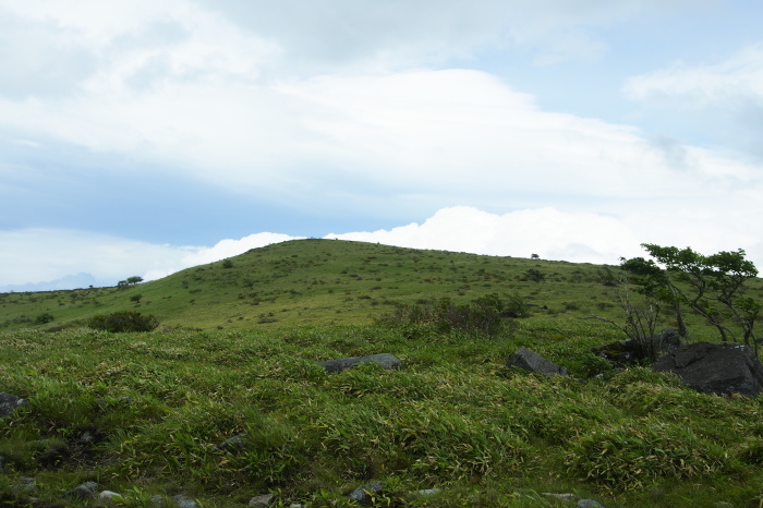 e0307372_11443541.jpg