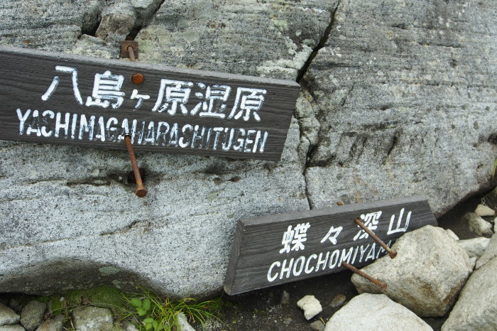 e0307372_11451046.jpg