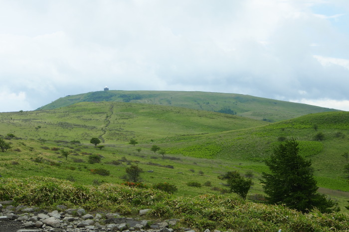 e0307372_11454862.jpg