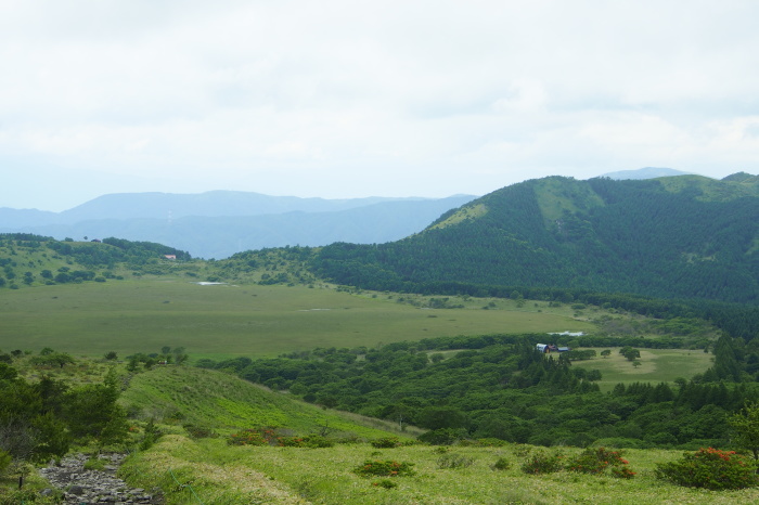 e0307372_11461415.jpg