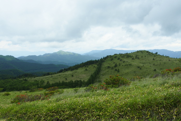 e0307372_20465305.jpg