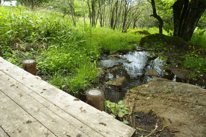 e0307372_20530672.jpg