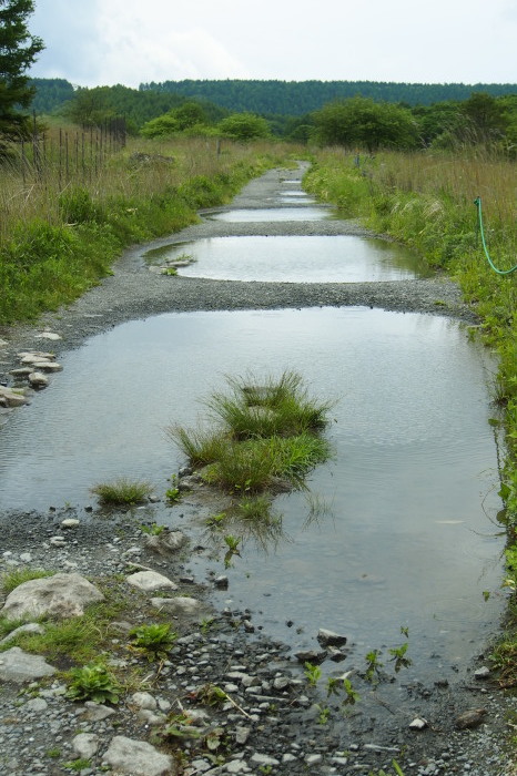 e0307372_20582914.jpg
