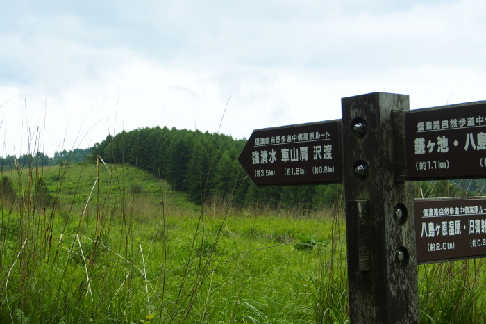 e0307372_21035940.jpg