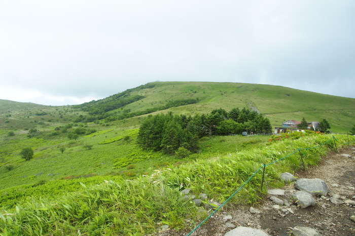 e0307372_21264466.jpg