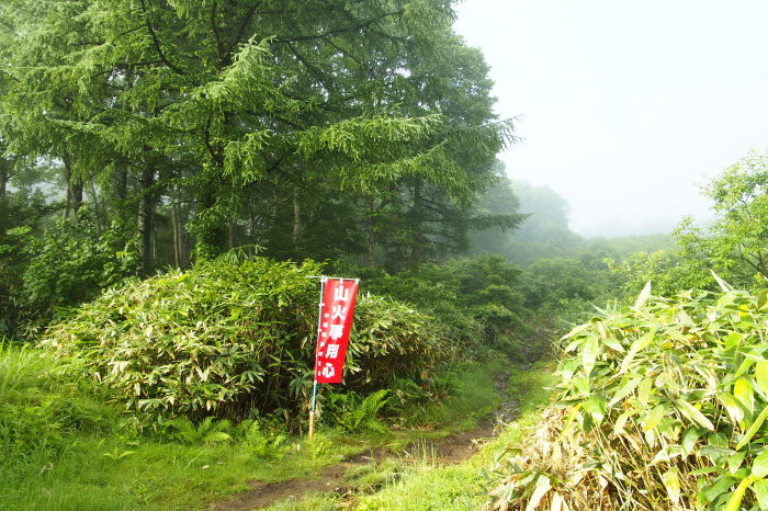 e0307372_22395710.jpg