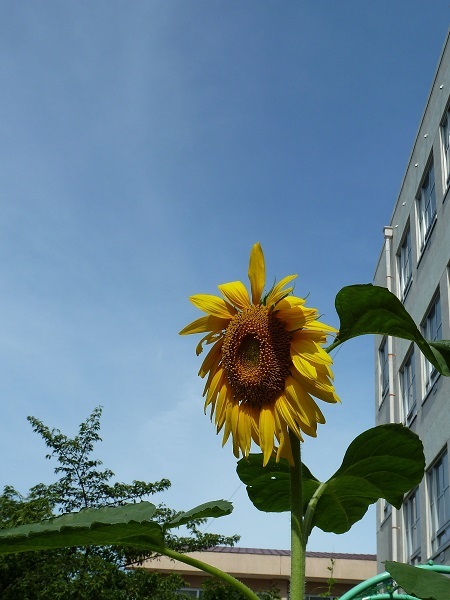 b0326576_20454701.jpg